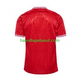 Jalkapallo Pelipaidat/Peliasut Tanska Kotipaita Euro 2024 Lyhythihainen